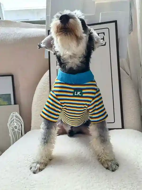 Maglia a Righe Elasticizzata per Cani - Calda e Confortevole - immagine 6