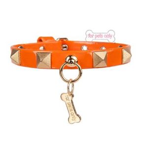 Chic And Stud Collar orange