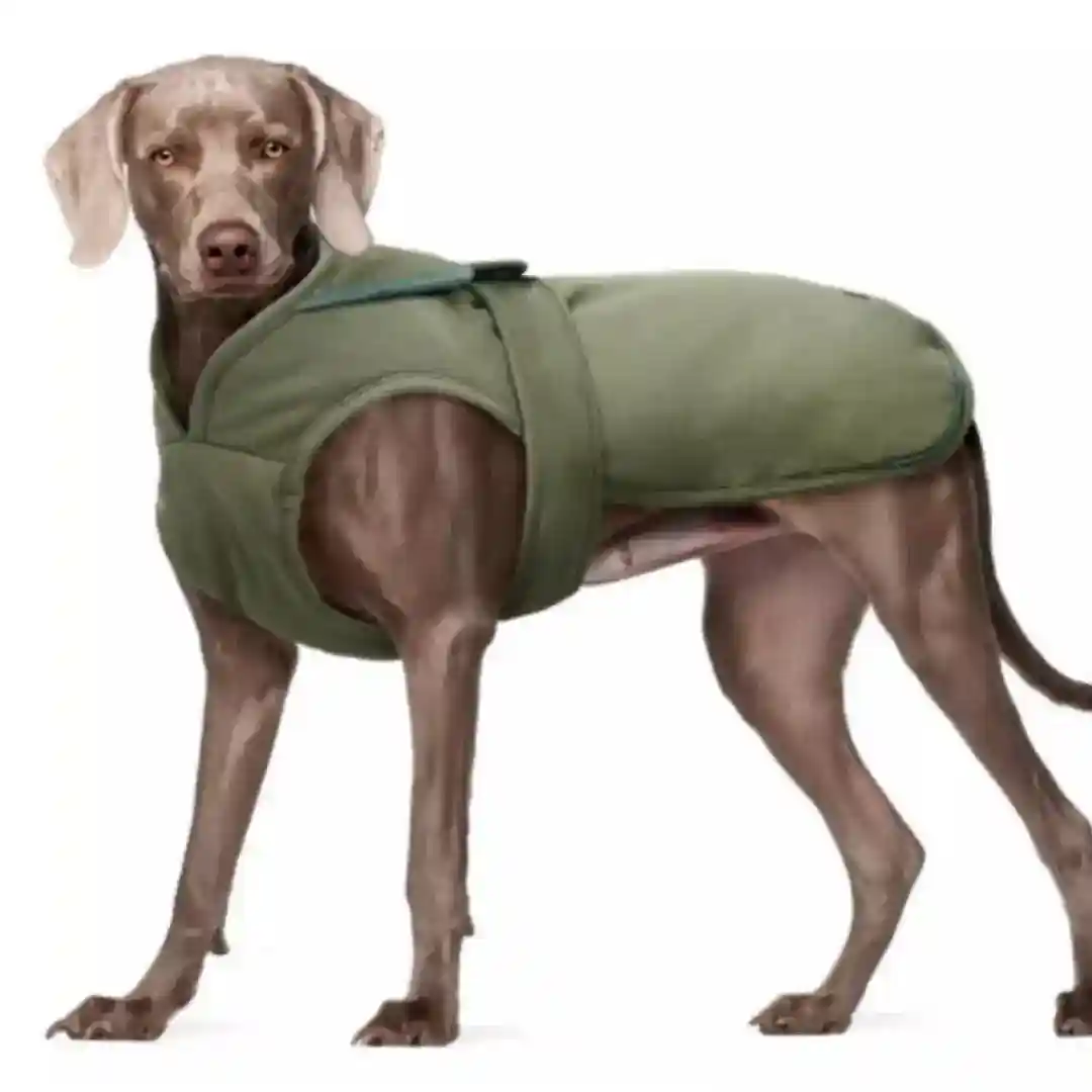Cappotto Impermeabile Cani con Elastici Zampe e Riflettenti - immagine 5
