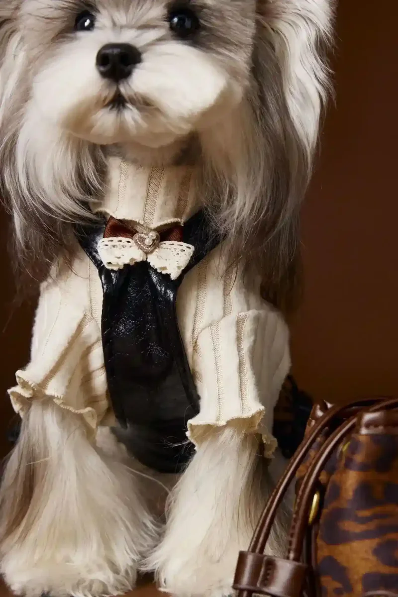 Vestito Elegante Buttons per Cani - Fiocco sul Colletto - immagine 4