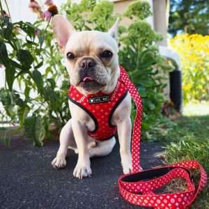 Set pettorina e guinzaglio per cani Pupreme rossa "NicNic"