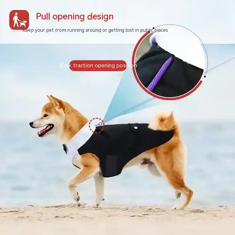 Vestito per Cani per Matrimoni e Compleanni Modello "Suit" - immagine 5