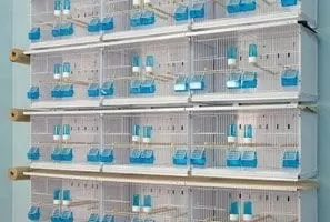 NEW CANARIZ | Batteria standard da 12 gabbie smontabili  (58x30x36)