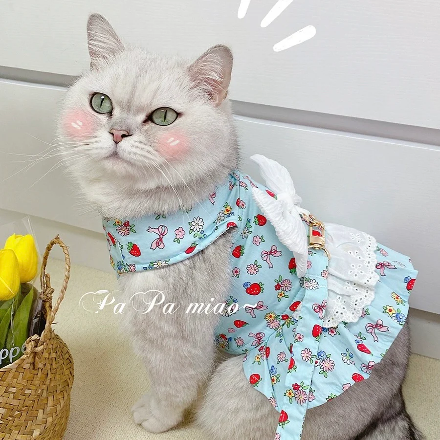 Fruit Printed Lace Bow Dog Harness&Leash - immagine 7