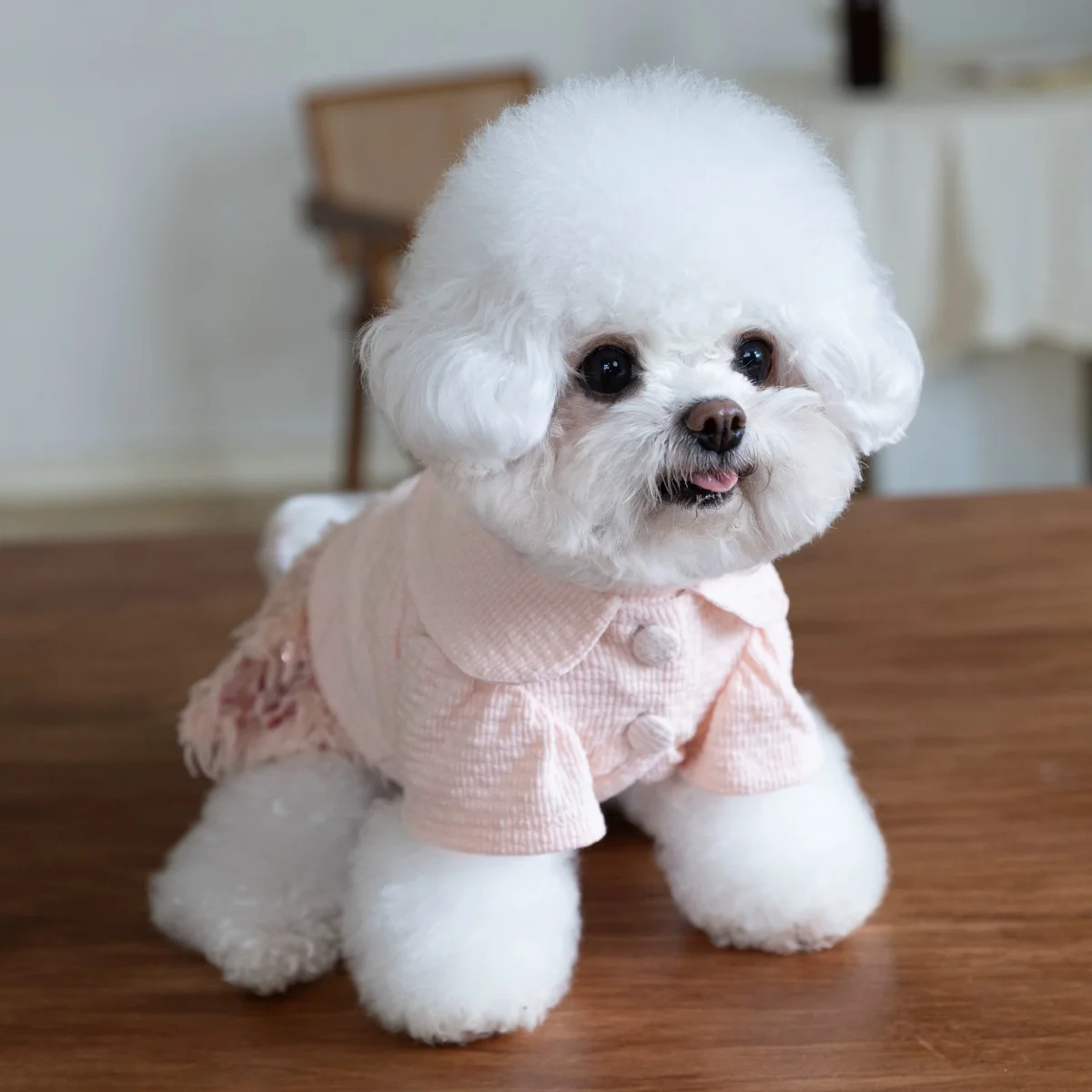 Elegant Sequin Dog Cat Dress Coat - immagine 5