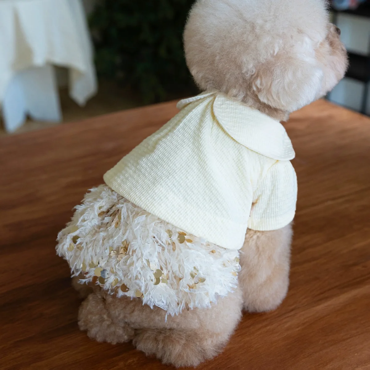 Elegant Sequin Dog Cat Dress Coat - immagine 6