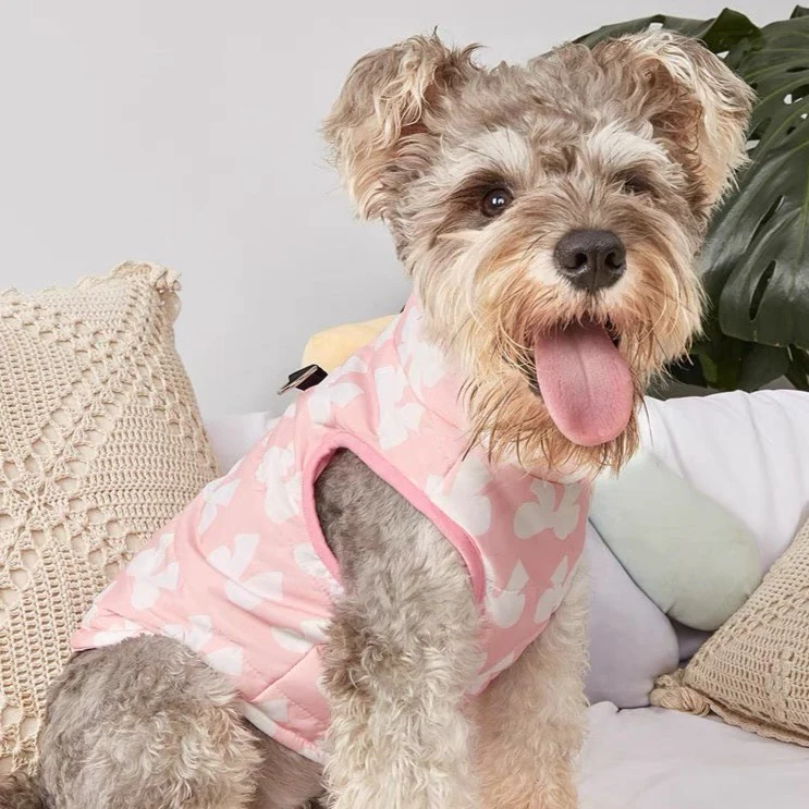 Bowknot Printed Warm Pet Jacket Vest - immagine 3