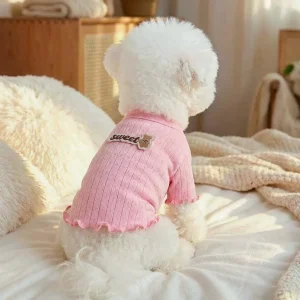 Breathable Bear Letter Dog Cat Pullover