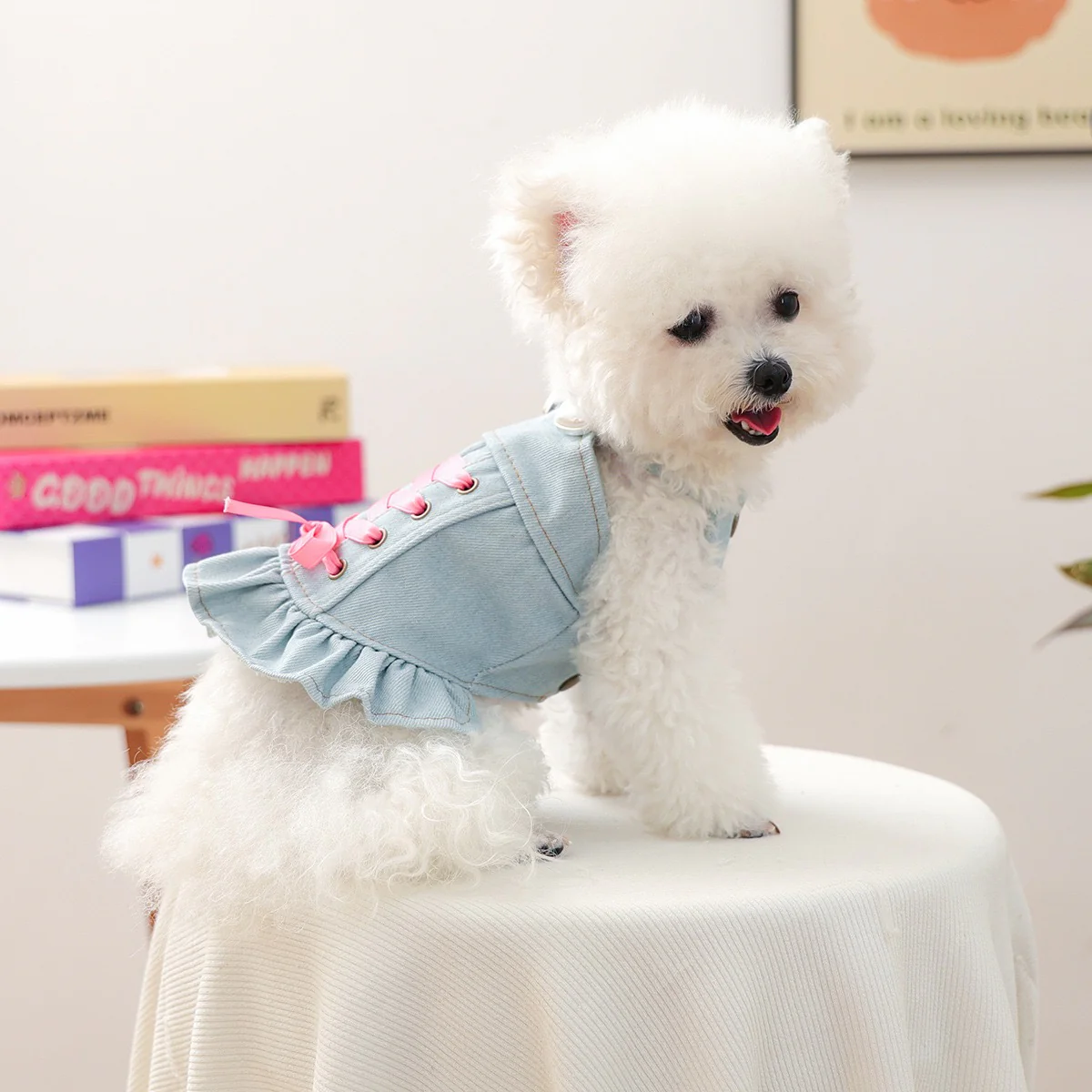 Sweet Lace-up Bow Heart Decor Dog Cat Jacket Dress - immagine 7