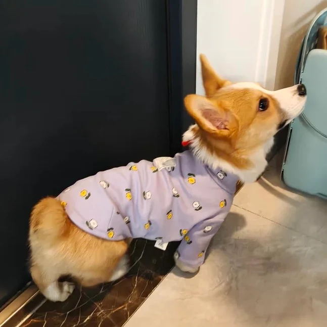 Cotton Flower Pattern Dog Cat Pullover - immagine 9