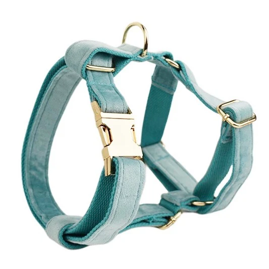 Velvet Personalized Dog Harness Collar Leash - immagine 4