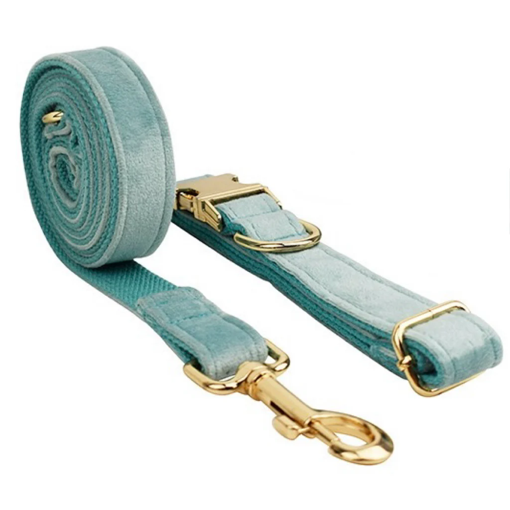 Velvet Personalized Dog Harness Collar Leash - immagine 3