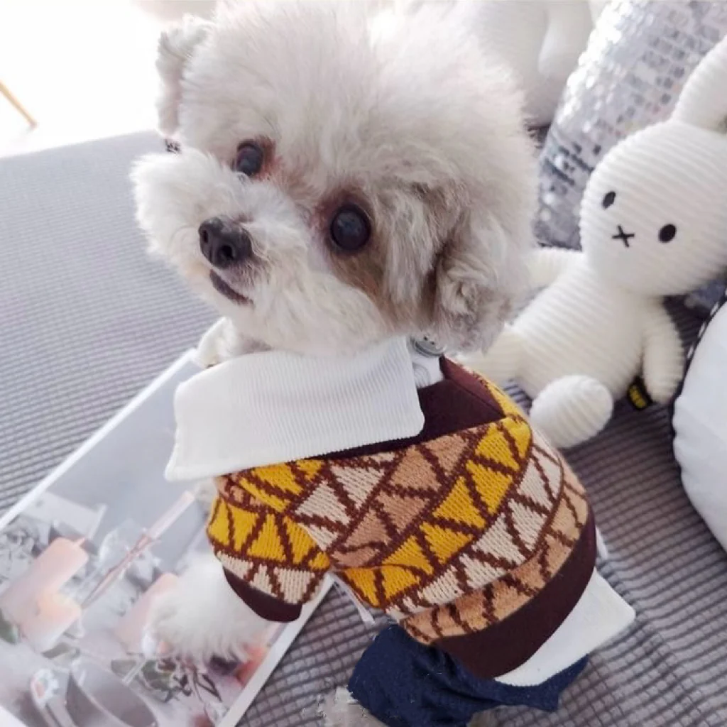 Casual Knitted Shirt Design Dog Jumpsuits - immagine 8