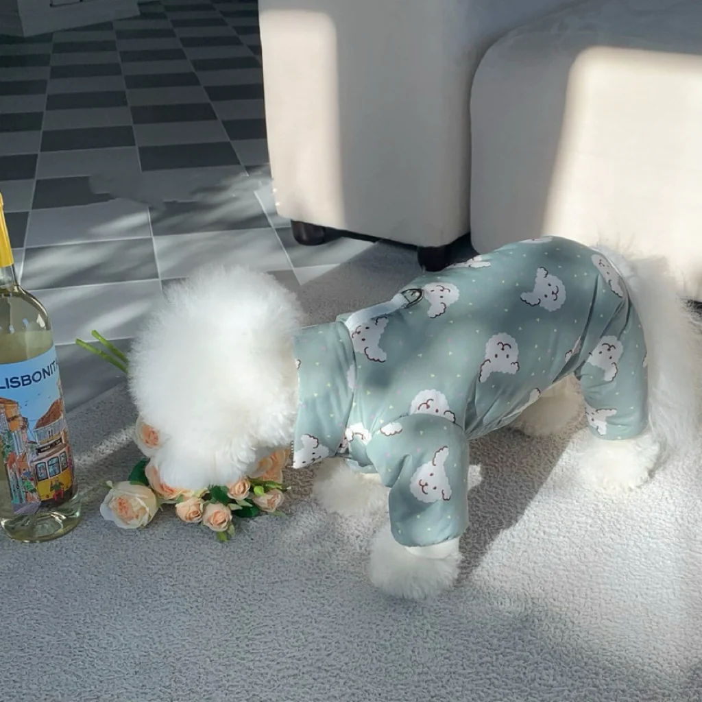 Bear Printed Dog Four Legs/Two Legs Jacket - immagine 4