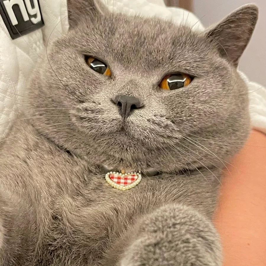 Vintage Plaid Heart Pearl Dog Cat Necklace - immagine 7