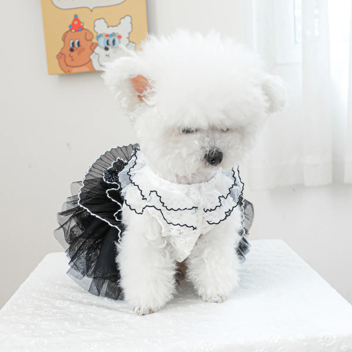 Black White Lace Dog Cat Princess Dress - immagine 9