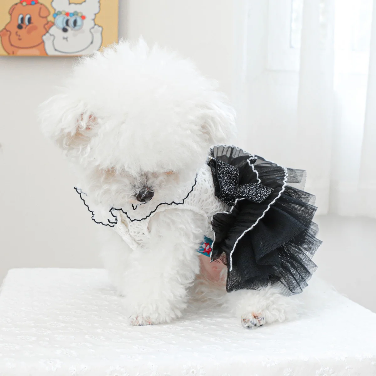 Black White Lace Dog Cat Princess Dress - immagine 7