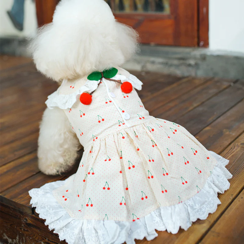 Cherry Lace Collar Dog Cat Dress - immagine 4