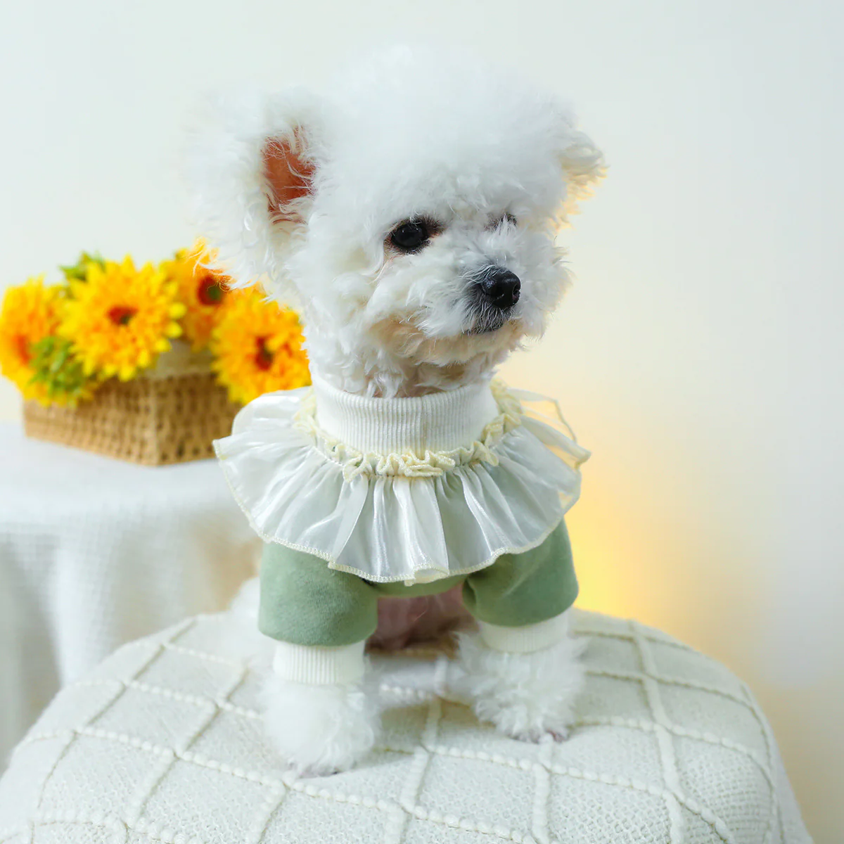 Cupcake Lace Collar Dog Cat Sweatshirt - immagine 6