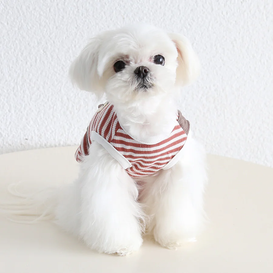 Bag Decor Bear Striped Dog Cat Vest - immagine 8