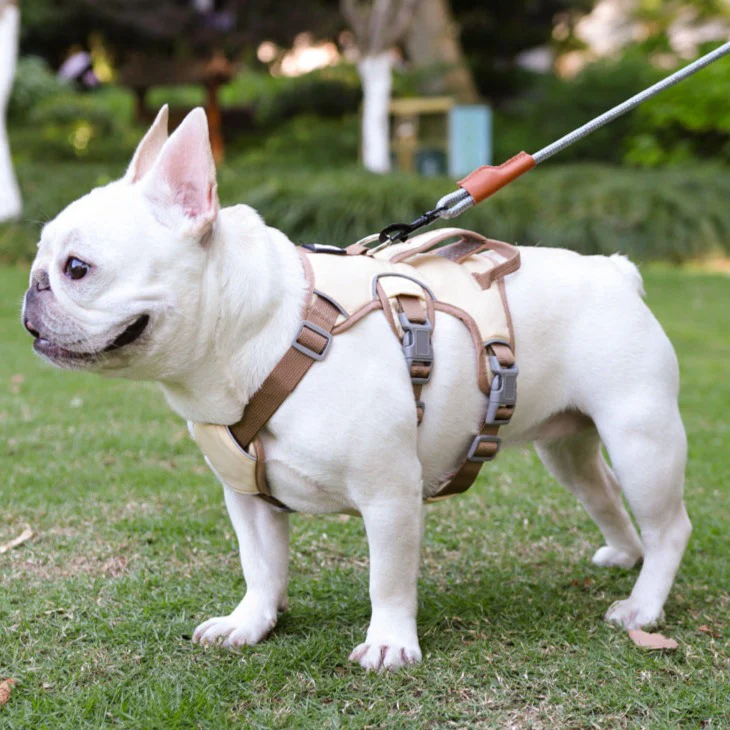 Contrast Color No Pull Dog Harness/Leash For Medium Dog - immagine 9