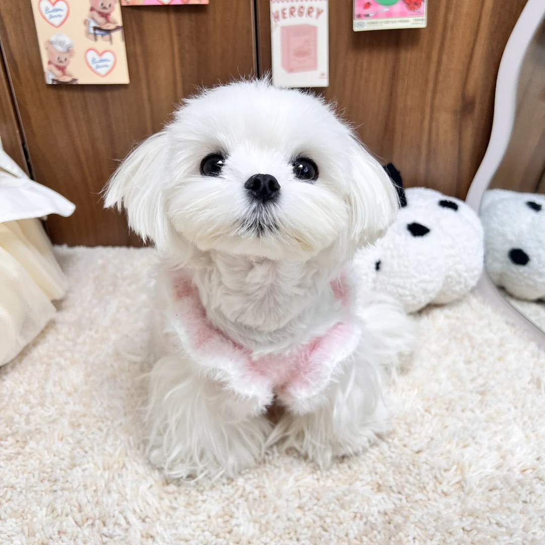 Furry Bowknot Dog Cat Sweater Layered Dress - immagine 4