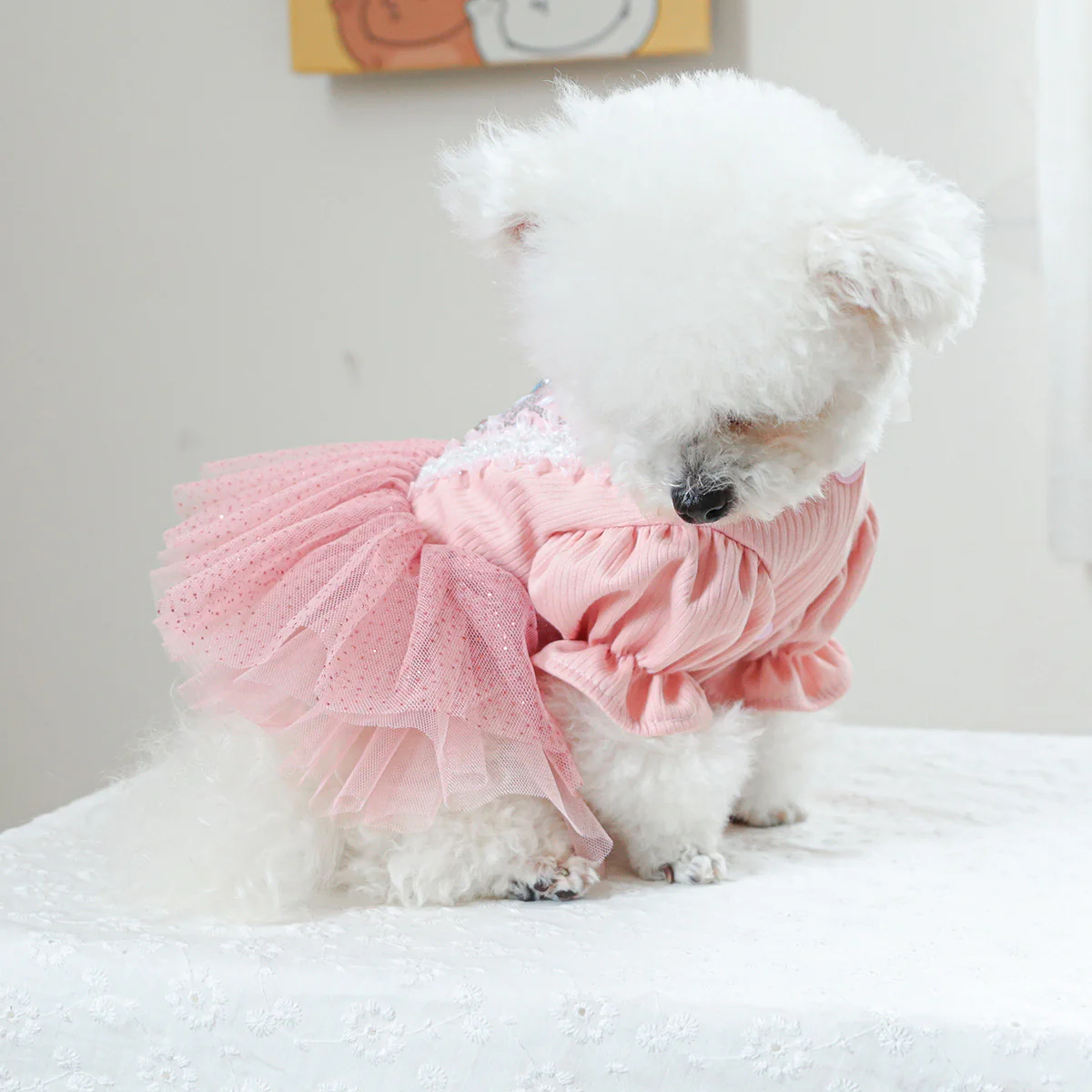 Heart Flower Dog Cat Princess Dress - immagine 7