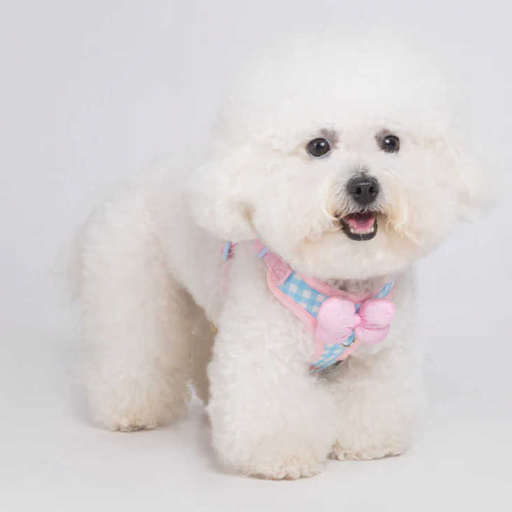 Bow Decor Plaid Color Block Dog Harness Leash - immagine 8