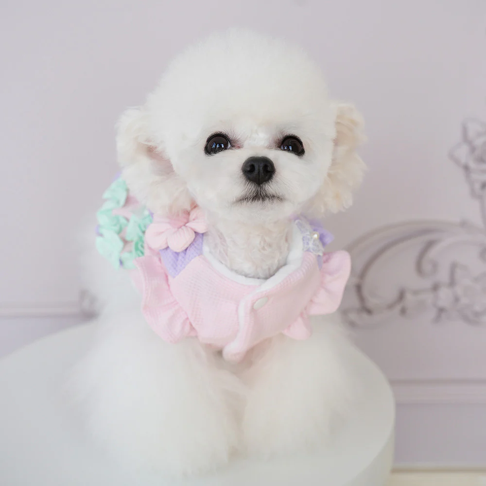 Sweet Flower Layered Color Block Dog Cat Dress - immagine 7