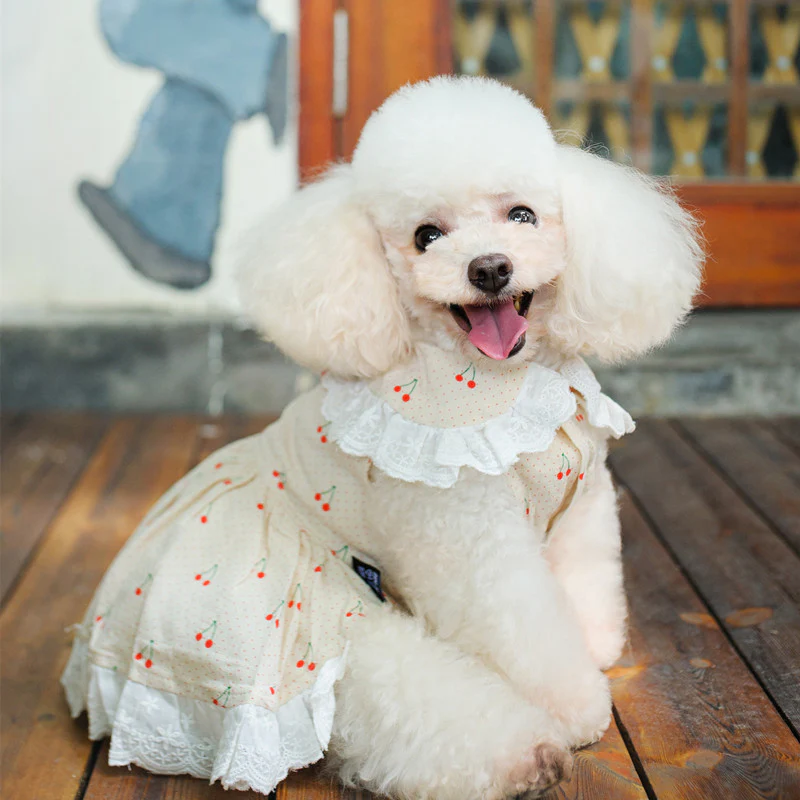 Cherry Lace Collar Dog Cat Dress - immagine 6