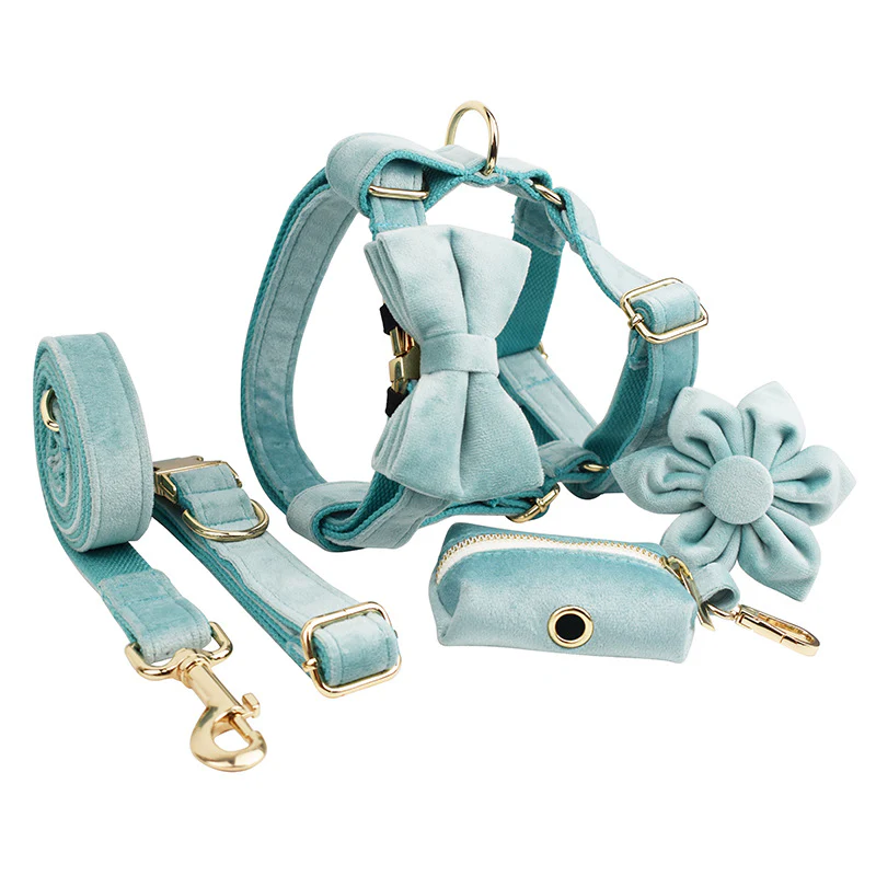 Velvet Personalized Dog Harness Collar Leash - immagine 2