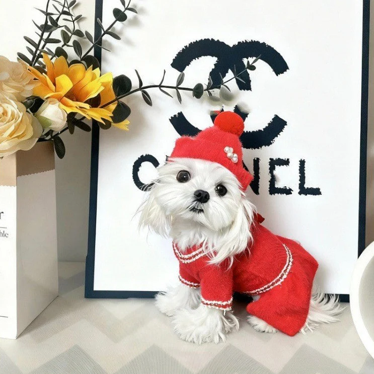 Elegant Flower Buttoned Dog Cat Dress Hat - immagine 6