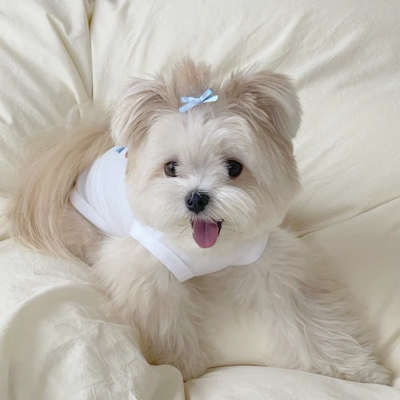 Sweet Cookie Cake Printed Dog Cat Vest - immagine 7