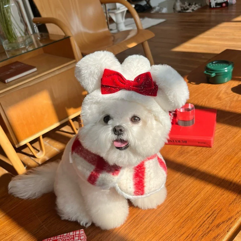 Bow Plaid Ruffled Fleece Dog Cat Dress/Cape - immagine 5