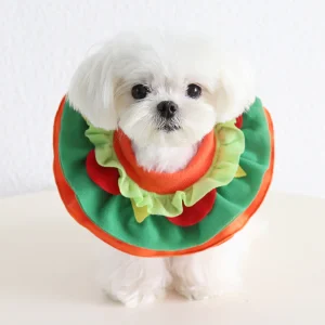 Funny Food Pattern Dog Cat Scarf/Bib Hat