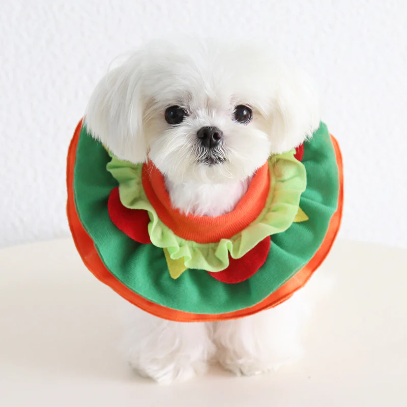 Funny Food Pattern Dog Cat Scarf/Bib Hat - immagine 2