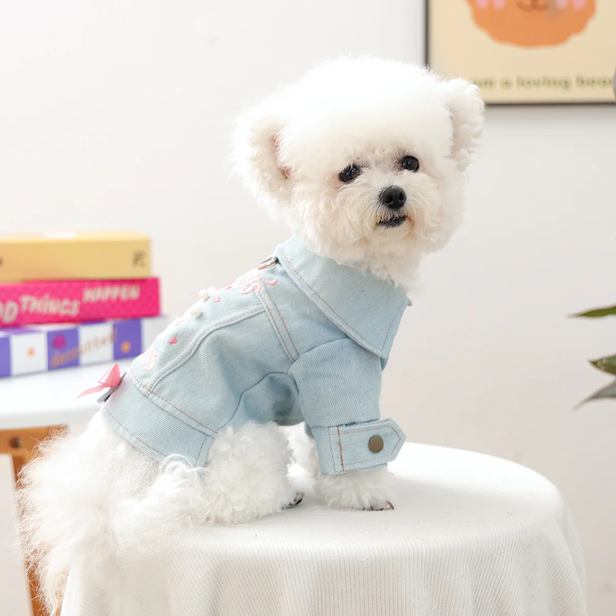 Sweet Lace-up Bow Heart Decor Dog Cat Jacket Dress - immagine 6