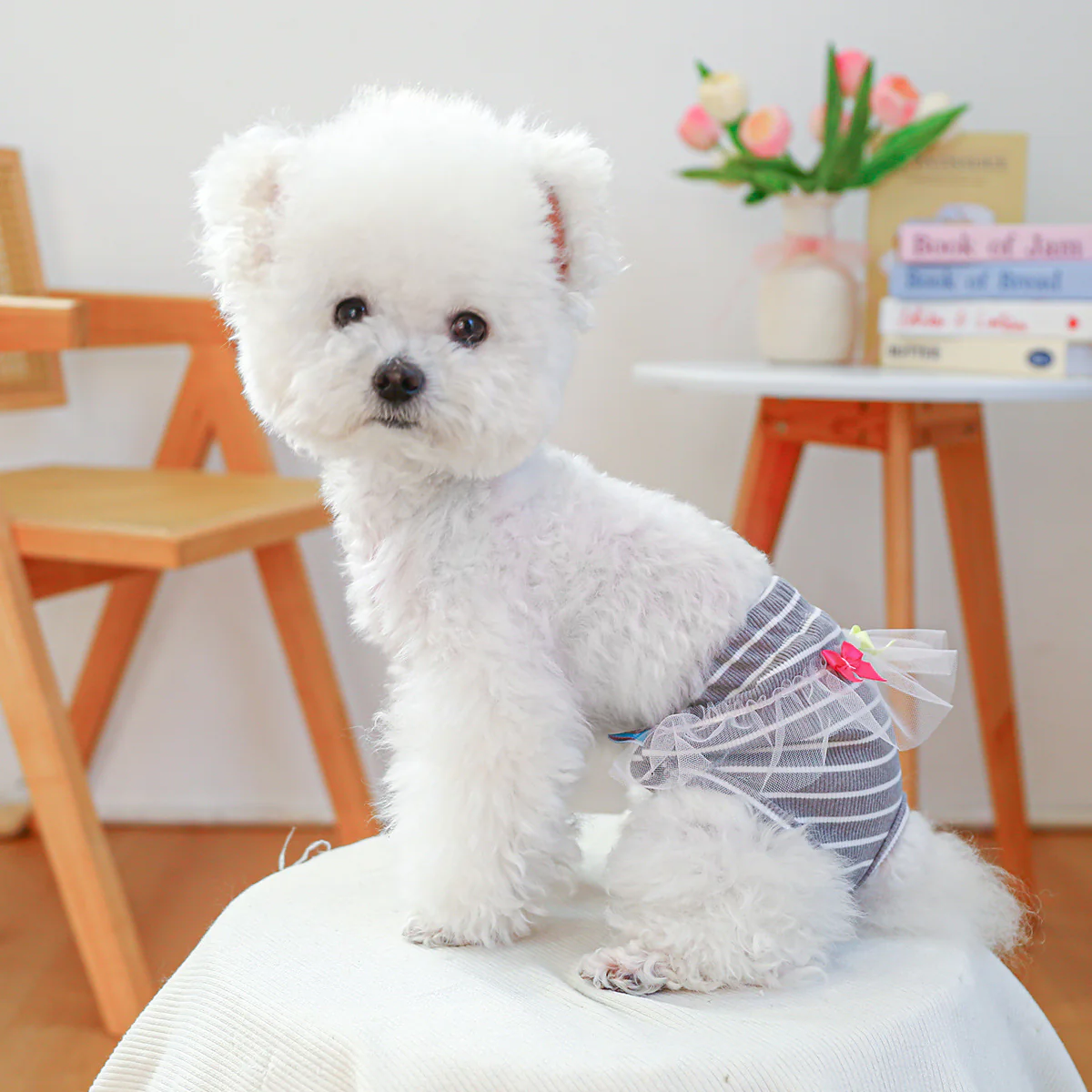 Washable Striped Bow Lace Dog Diaper Pants - immagine 9
