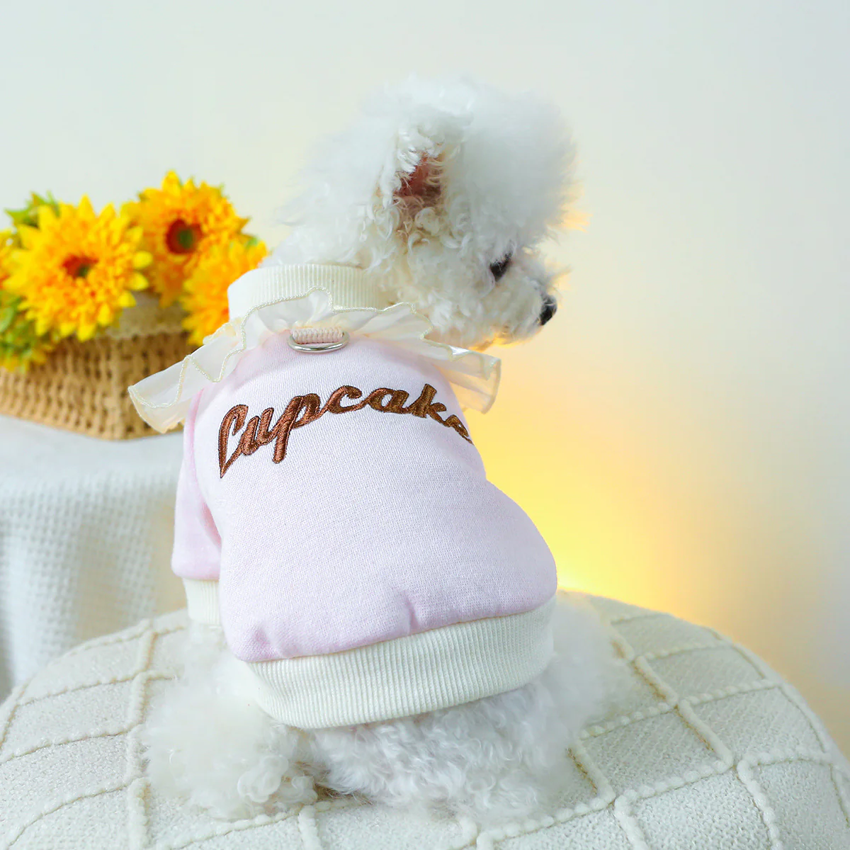 Cupcake Lace Collar Dog Cat Sweatshirt - immagine 7