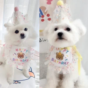 Birthday Bear Printed Dog Cat Bib&Hat Set