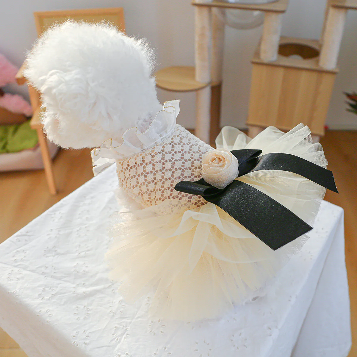 Black White Lace Dog Cat Princess Dress - immagine 6