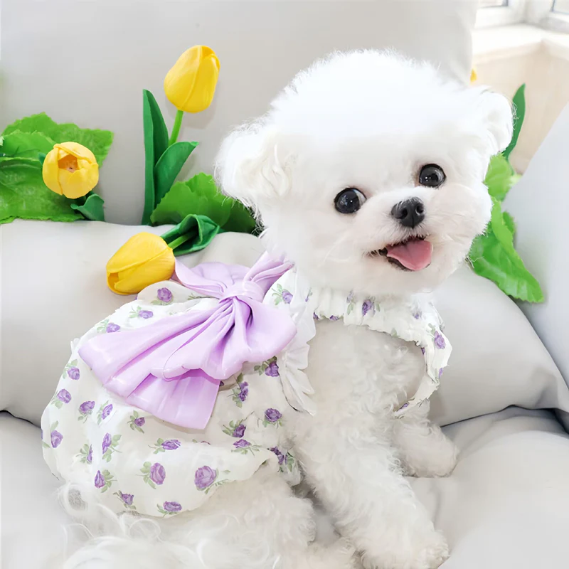 Bowknot Lace Collar Dog Harness Dress - immagine 5