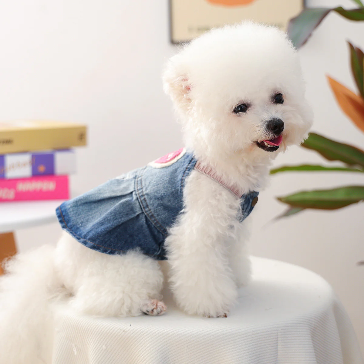 Honey Heart Pattern Denim Dog Cat Dress - immagine 4