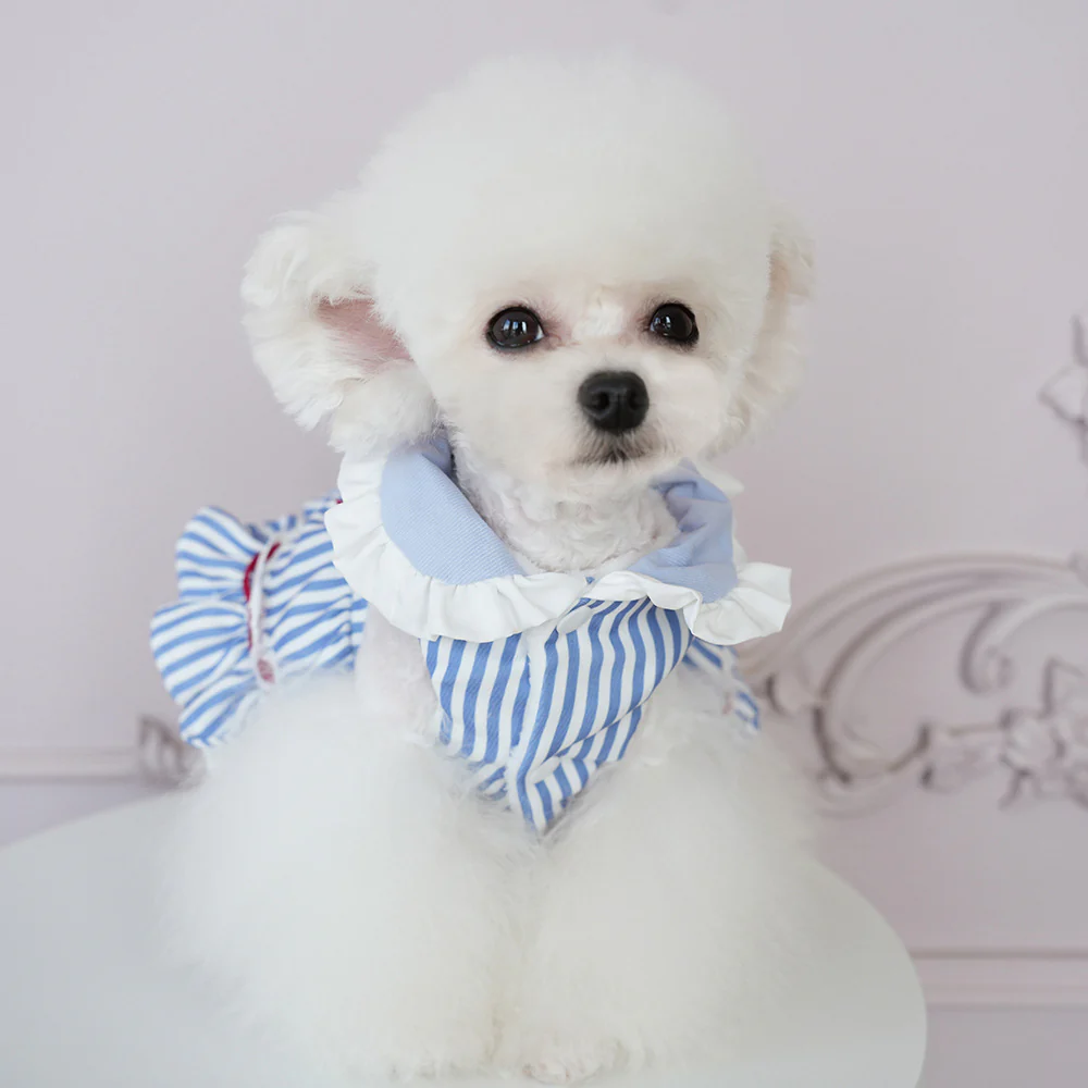 Sweet Striped Letter Bow Fleece Dog Cat Dress - immagine 9