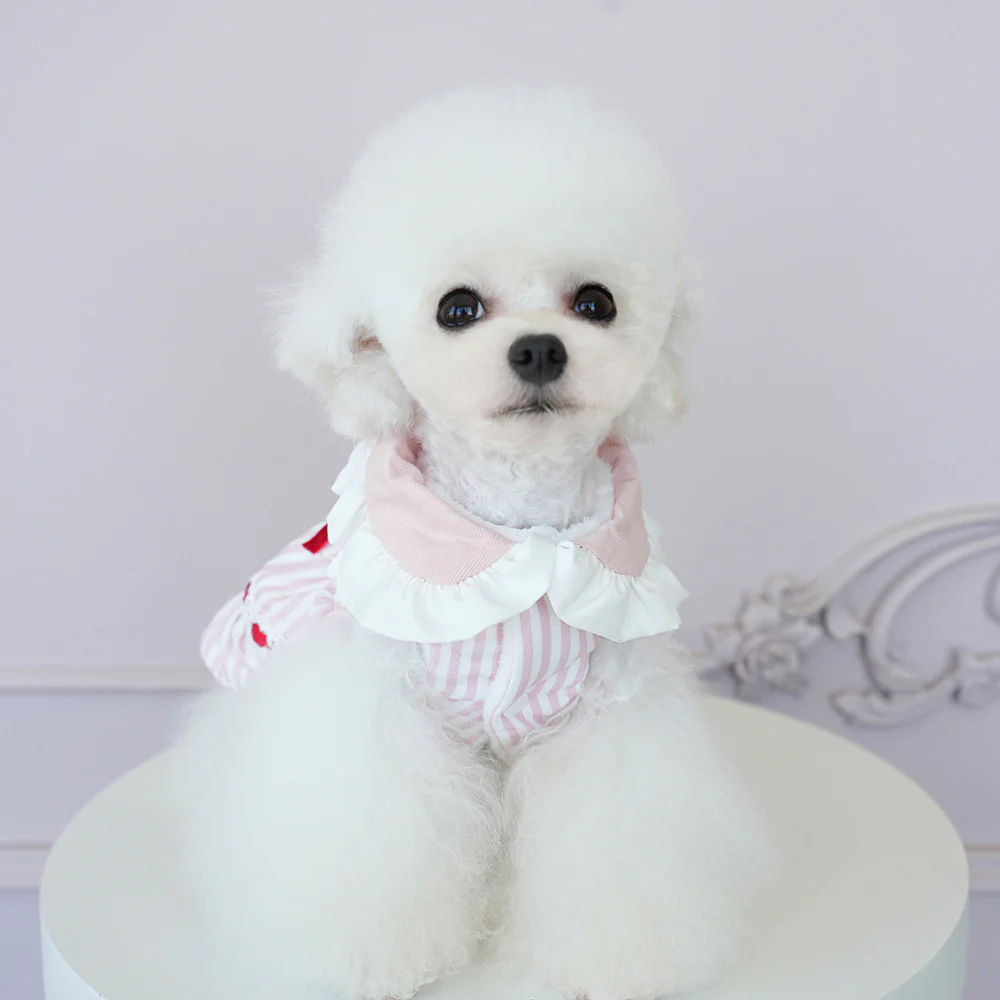 Sweet Striped Letter Bow Fleece Dog Cat Dress - immagine 8