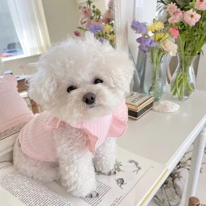 Sweet Bow Ruffled Sleeves Dog Cat Vest