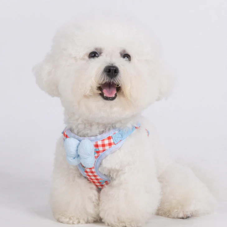 Bow Decor Plaid Color Block Dog Harness Leash - immagine 7