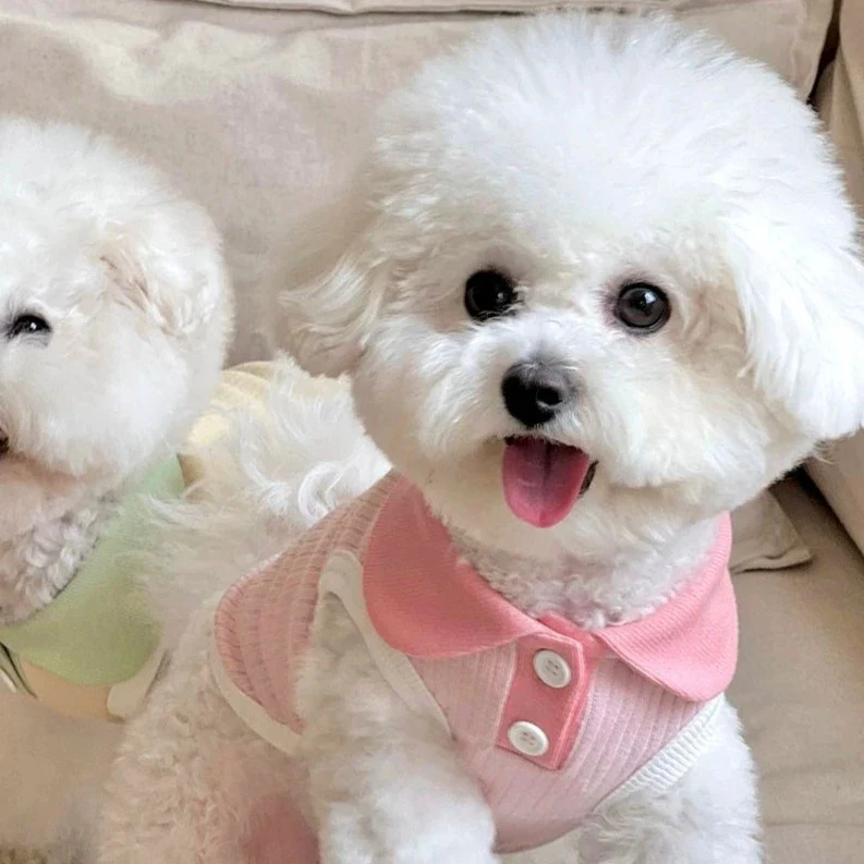 Breathable Contrast Color Collar Dog Cat Vest - immagine 8