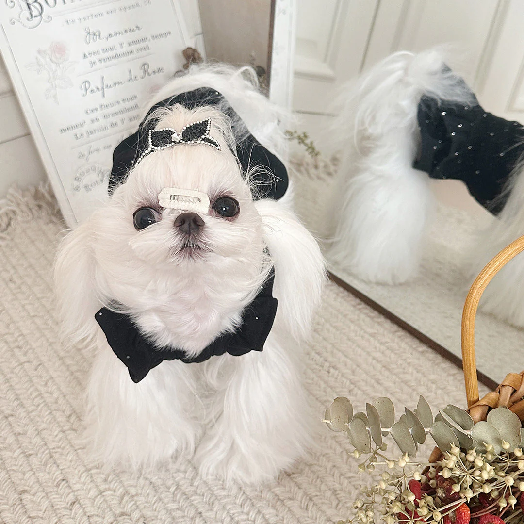 Sweet Butterfly Rhinestone Dog Cat Dress - immagine 8