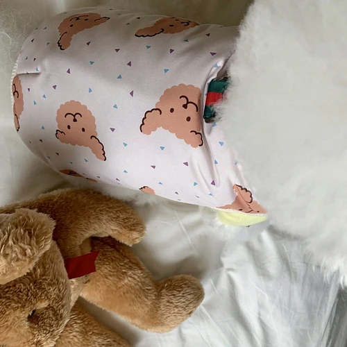 Bear Printed Dog Four Legs/Two Legs Jacket - immagine 7